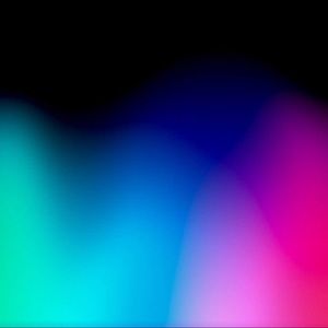 Meet your Posher, Neil